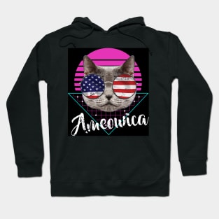 Ameowica Cat Sunglasses triangle Hoodie